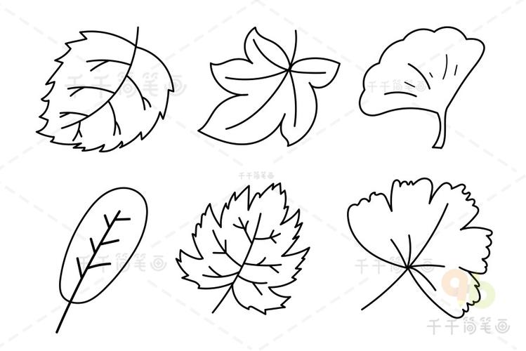 秋天树叶的变化过程简笔画