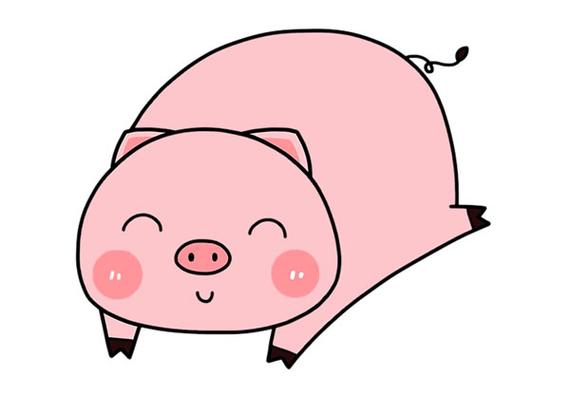 小猪简笔画可爱卡通