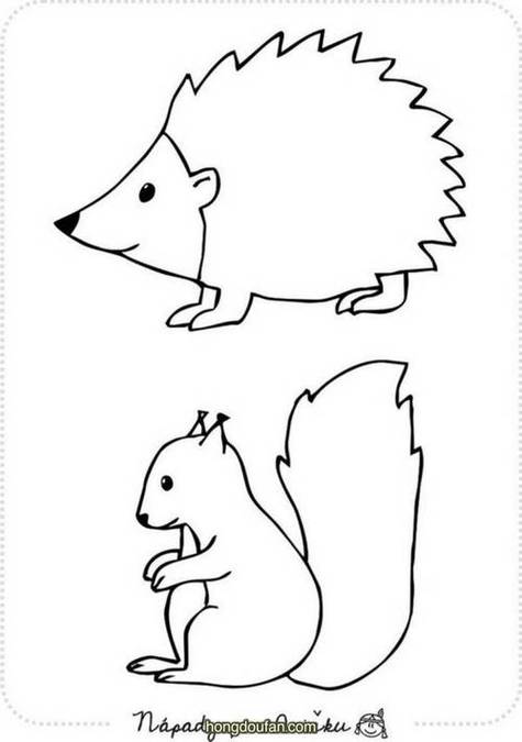 秋天的刺猬和松鼠要如何画刺猬松鼠幼儿简笔画大全小动物简笔画图片