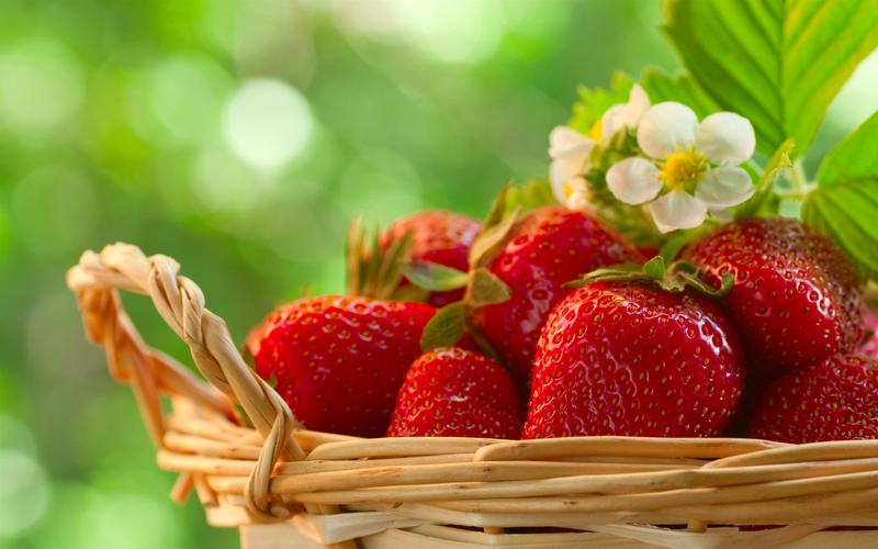 壁纸 美味的水果,草莓,篮子,绿色背景 2880x1800 hd 高清壁纸, 图片