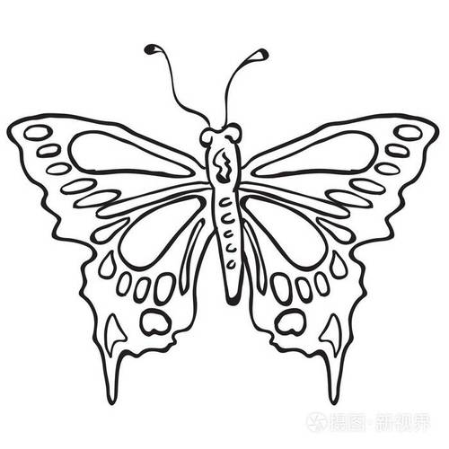 简单的黑白蝴蝶卡通插画-正版商用图片14lgdr-摄图新视界