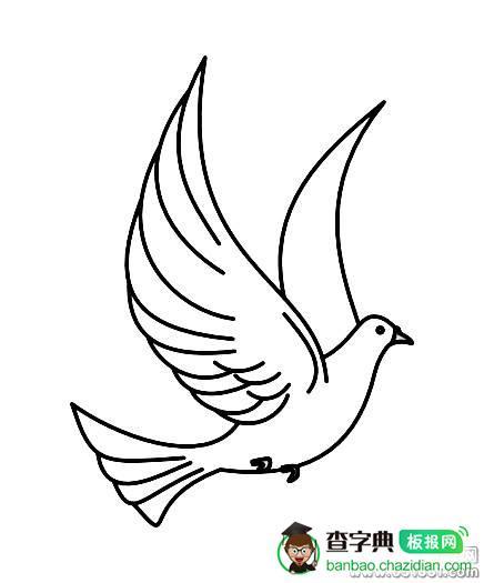 代表和平的白鸽简笔画