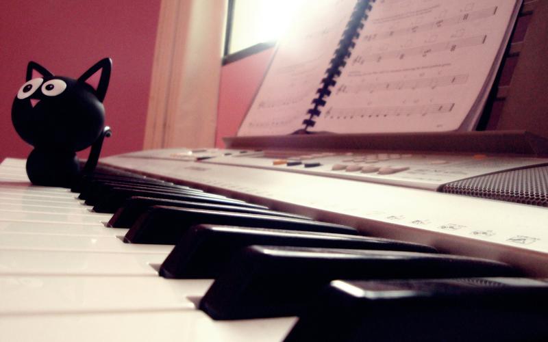 小猫,钢琴,黑白键,乐谱,静谧,一个自己的房间,音乐之声小猫壁纸图片