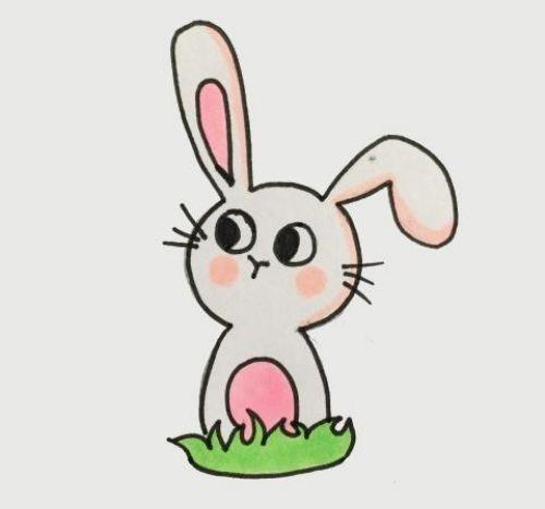 兔子简笔画简单又好看