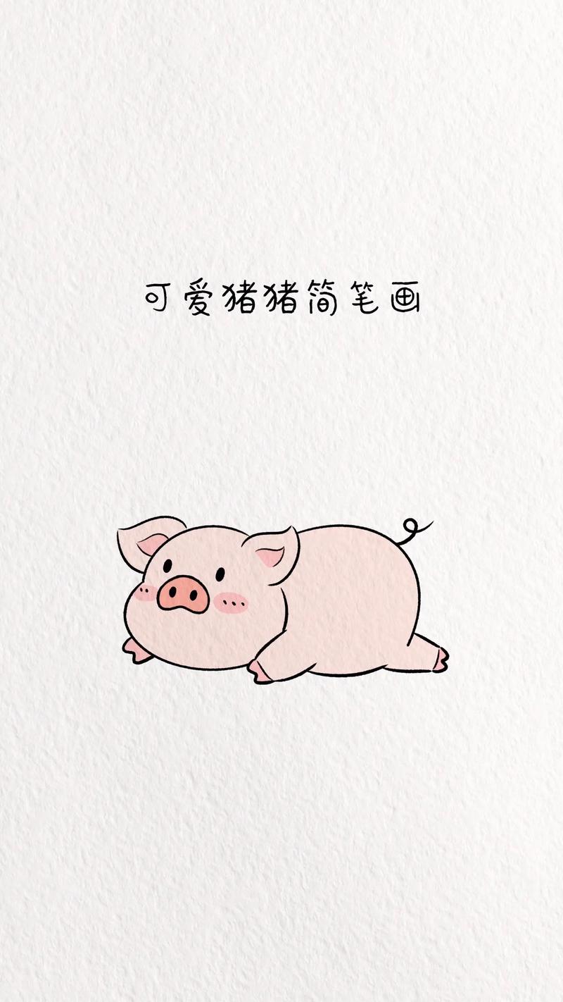 简笔画猪的照片