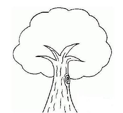儿童画树简笔画图片可爱版，儿童简笔画大树的画法图片