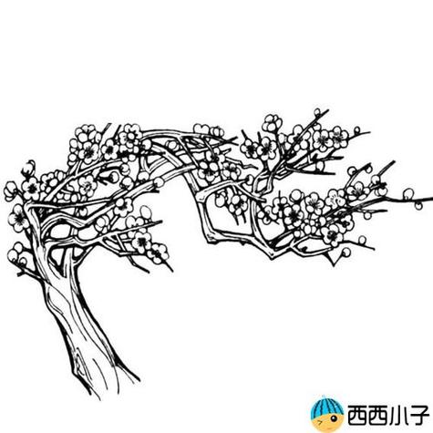 画作品梅花树图片简笔画手绘一棵挺拔的梅花树简笔画免抠素材免费下载
