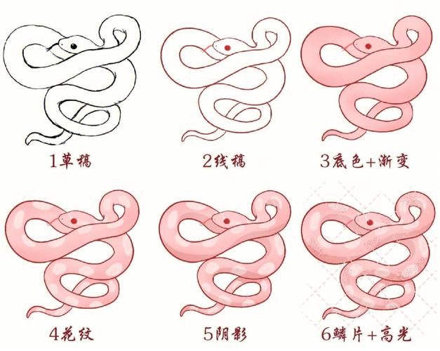 分享一个画蛇的过程图
