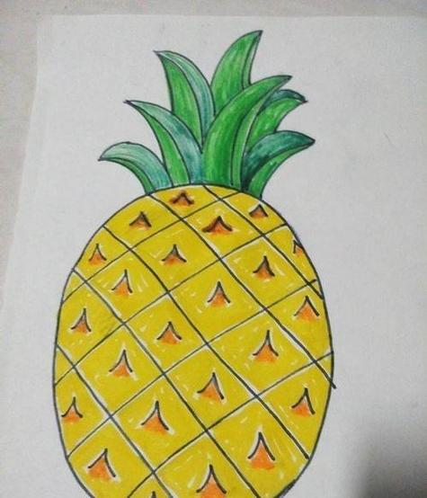 菠萝简笔画图片彩色 可爱