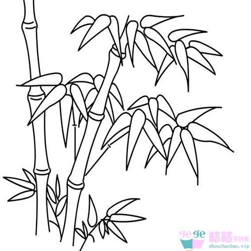 竹子的画法简笔画怎么样画竹子