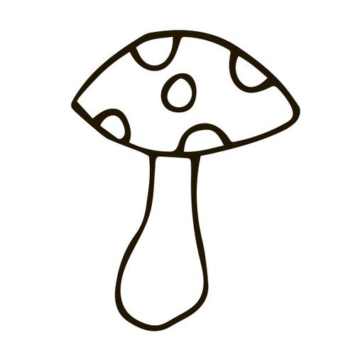 卡通涂鸦线性伞菌孤立在白色背景.矢量插图.图片