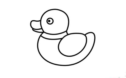 儿童简笔画入门动物鸭子