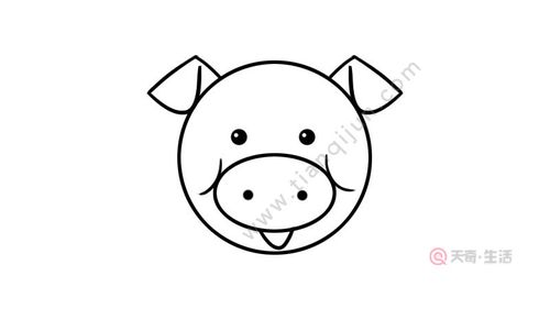 猪头怎么画简笔画图片