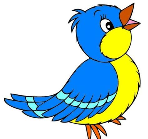 颜色小鸟的画法教程 简笔画步骤图片8款漂亮的小鸟简笔画彩色图片大全