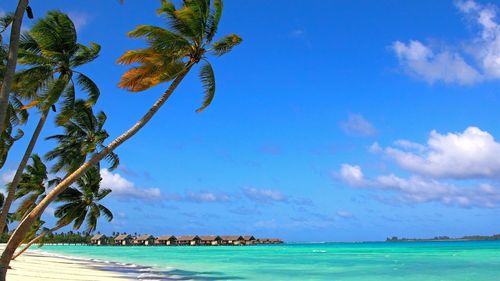 壁纸 马尔代夫,蓝色的大海,热带,棕榈树,蓝天 3840x2160 uhd 4k 高清