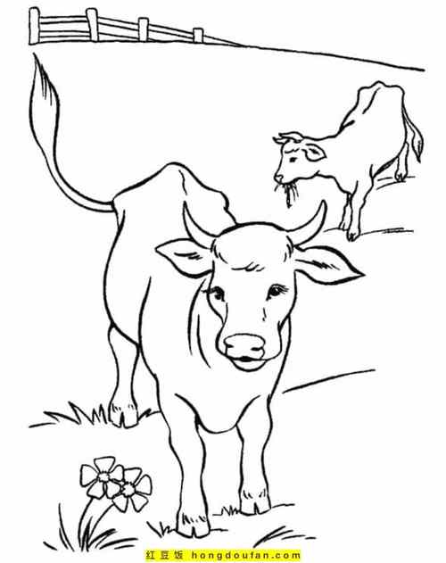牧场动物的简笔画