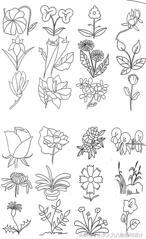 植物花卉简笔画 铅笔画植物花卉简笔画