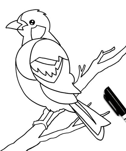 用记号笔在纸上画出鸟的外形和枝干