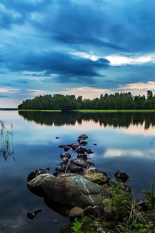 池塘,湖,清晨美景,石头,树林,水草,蓝色风格 iphone 壁纸
