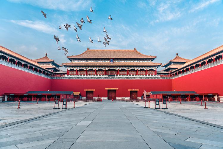 故宫和午门前飞翔的鸽子中国北京紫禁城广场上的鸽子.