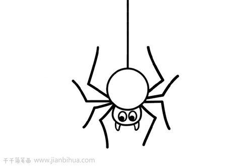 蜘蛛的简笔画蜘蛛的简笔画法图片