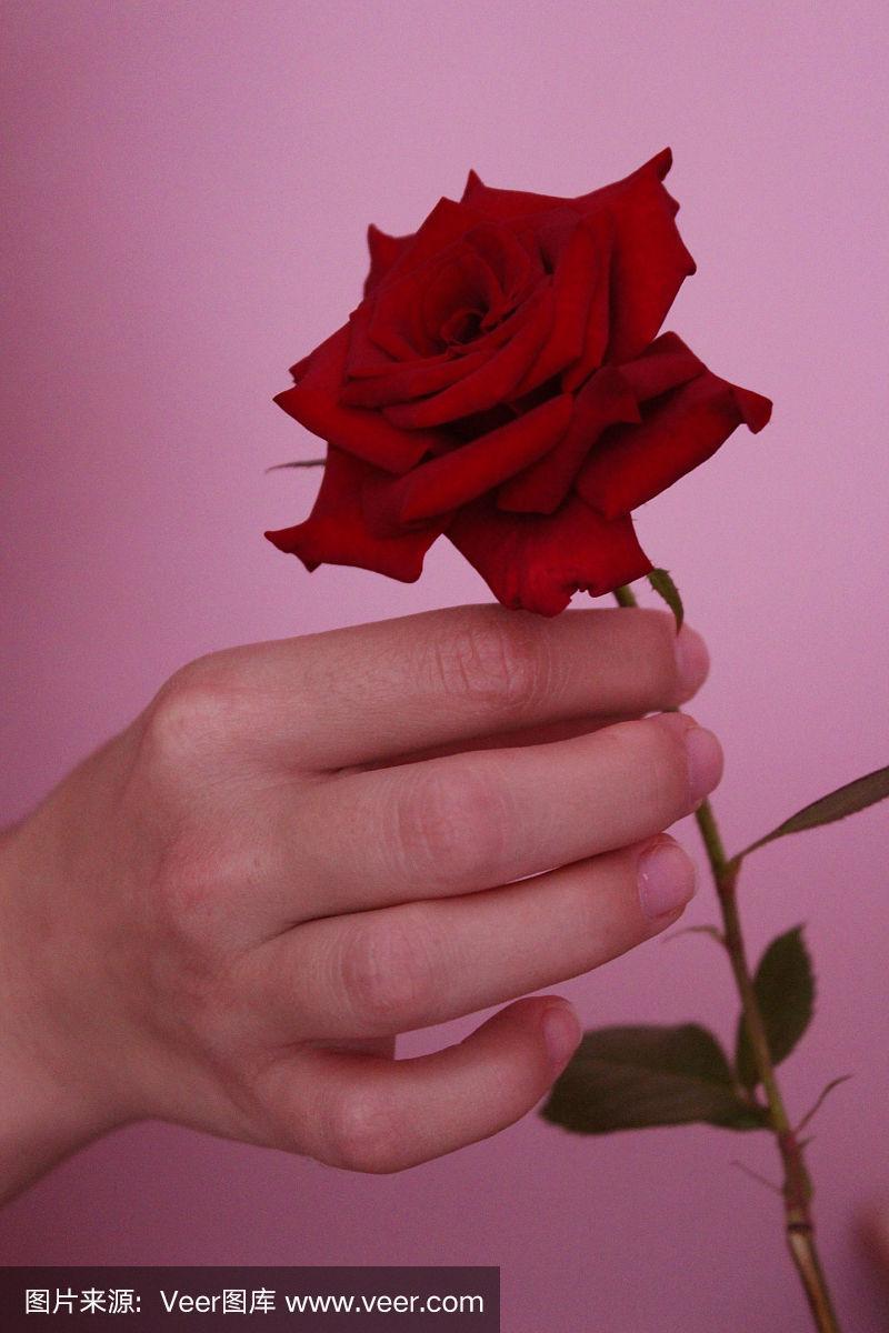 女人手里拿着一朵玫瑰