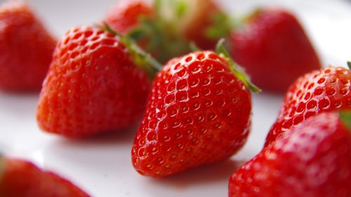 壁纸 新鲜的草莓,水果特写