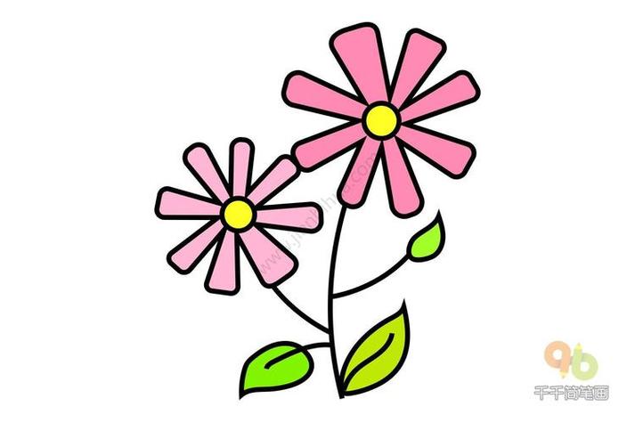 彩色简笔画植物简单图片