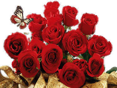 520朵玫瑰送给你,在这个特别的日子里,送给你我最真诚的爱意,朋友们