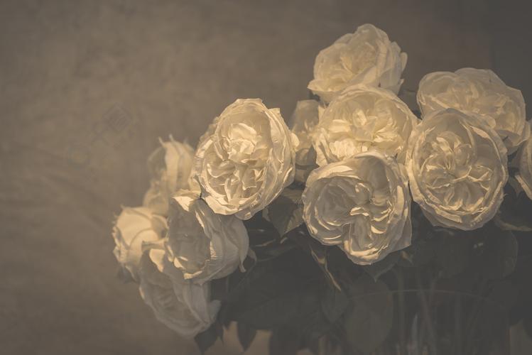 白玫瑰花复古滤镜图像风格