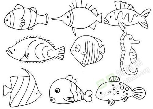 鱼的部位名称图简笔画