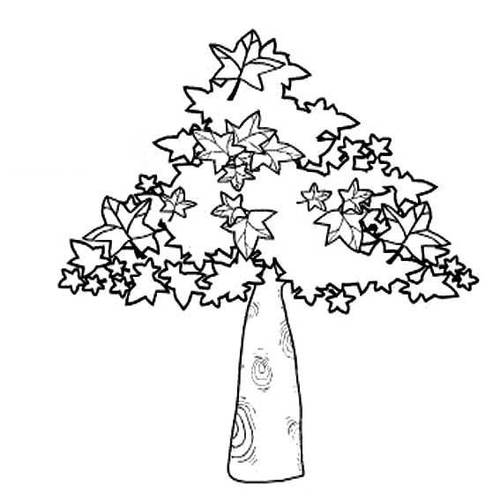 画树的简笔画 画树的简笔画视频教程