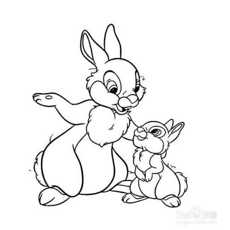 兔妈妈和兔宝宝的画法