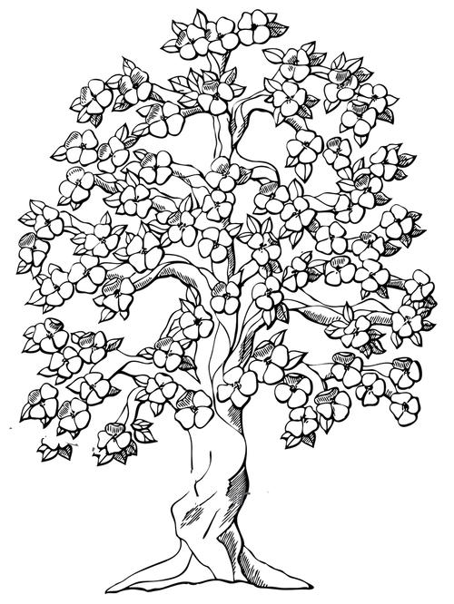 开花的苹果树怎么画_简笔画 - 搜图案网