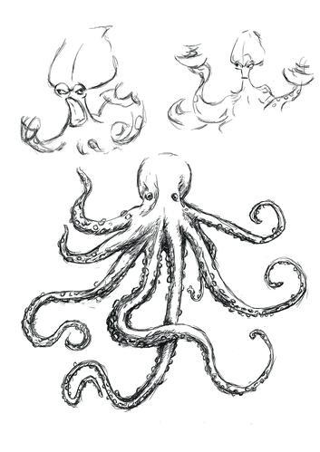 章鱼的画法图片简笔画