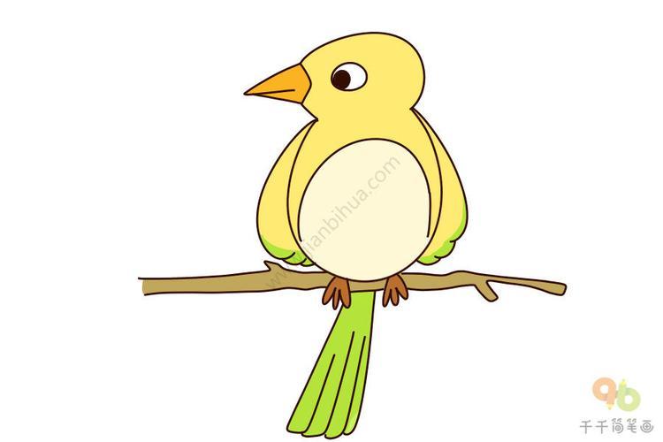 枝头上的黄鹂鸟简笔画飞行动物简笔画