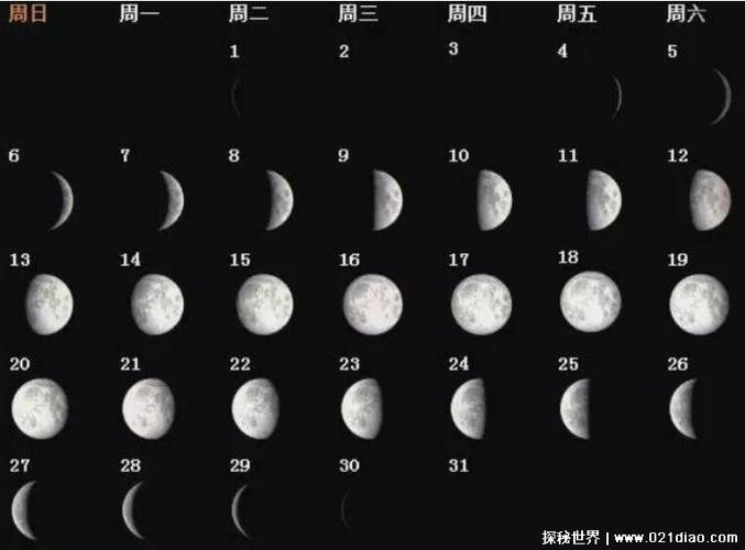 一个月中月亮的变化规律依次是:新月,娥眉月,上弦月,盈,满月,亏凸,下