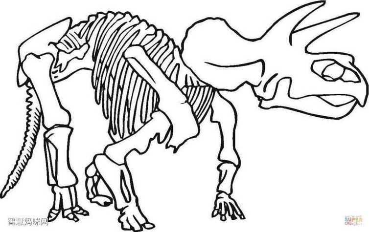 画视频怎么画恐龙化石简笔画恐龙头骨儿童简笔画角龙科的三角龙开角龙
