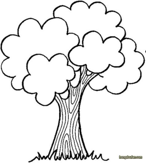 一棵茂盛的大树要如何画?大树简笔画大全 | 红豆饭小学生简笔画大全