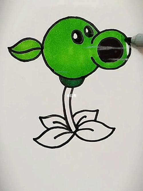 今天教小朋友们画豌豆射手简笔画植物大战僵尸