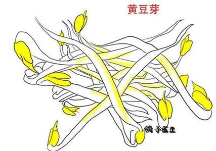 黄豆生长过程简笔画4个步骤图片