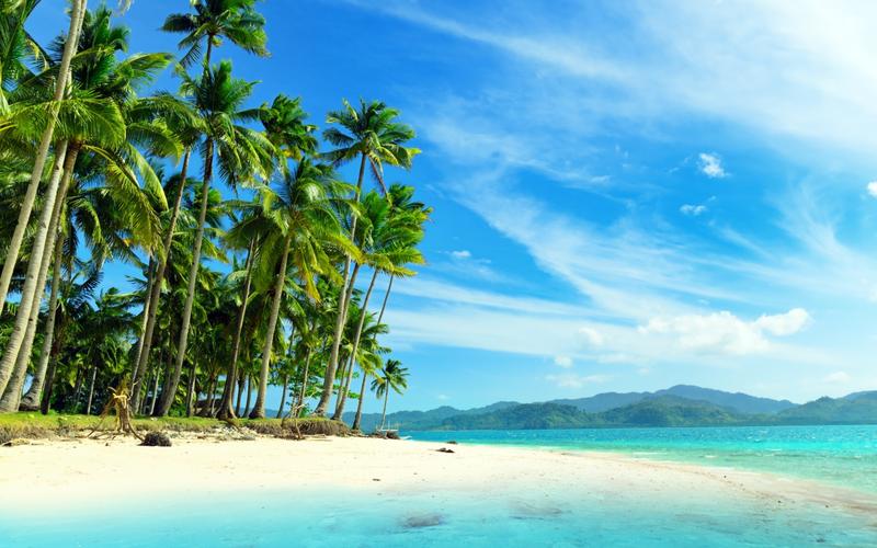 自然风景海滩植物棕榈树地点热带beachpalmtreestropical壁纸图片