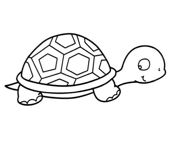 乌龟简笔画超可爱