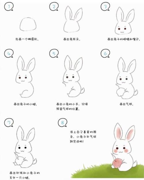 兔子图片简笔画彩色步骤