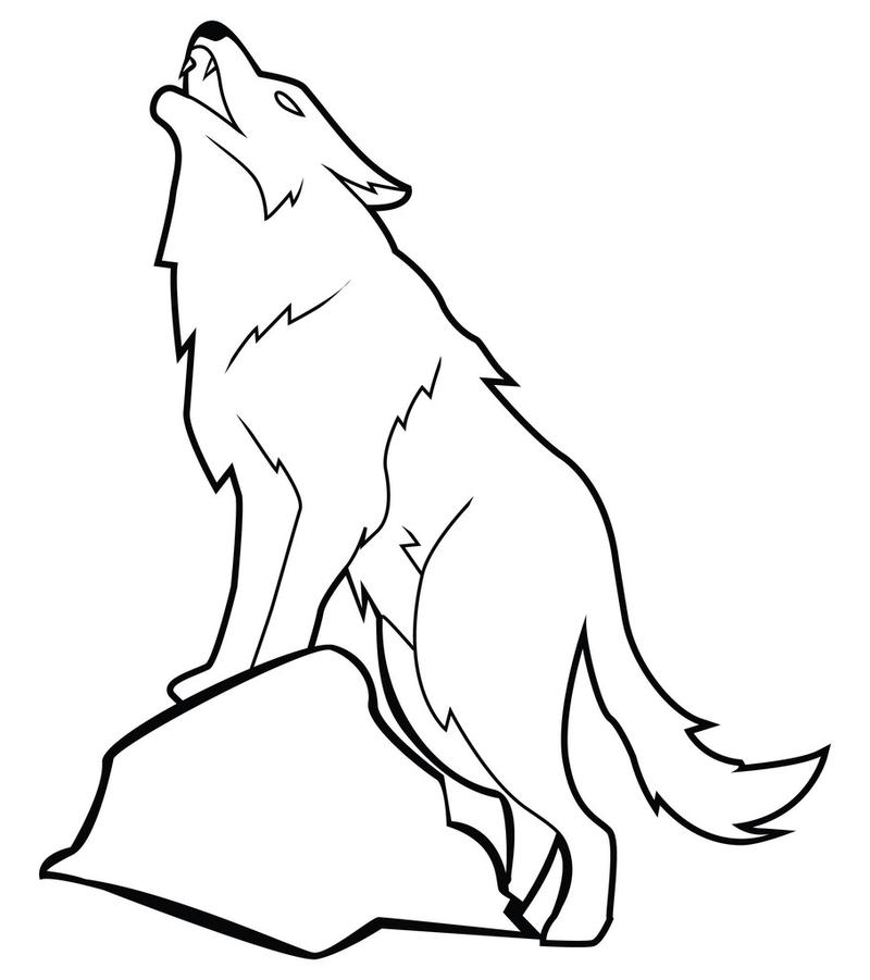 矢量插画的狼,狼的黑白矢量图解