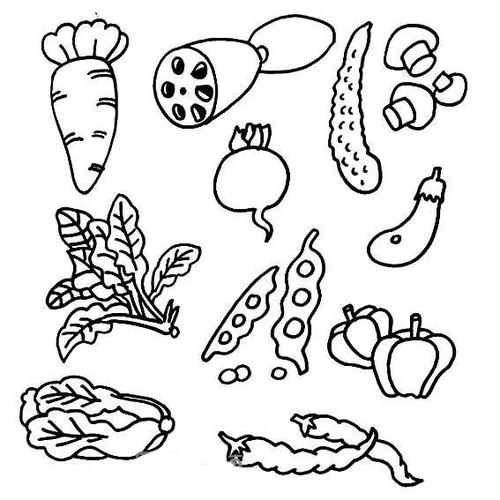 蔬菜的简单简笔画幼儿园