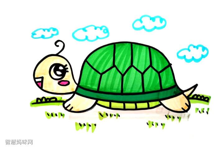 乌龟怎么画简笔画图片可爱