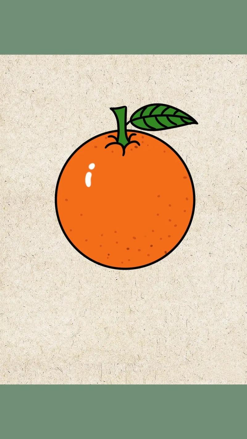 橙子简笔画彩色 可爱