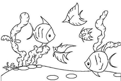 幼儿园绘画海底世界简笔画 图文