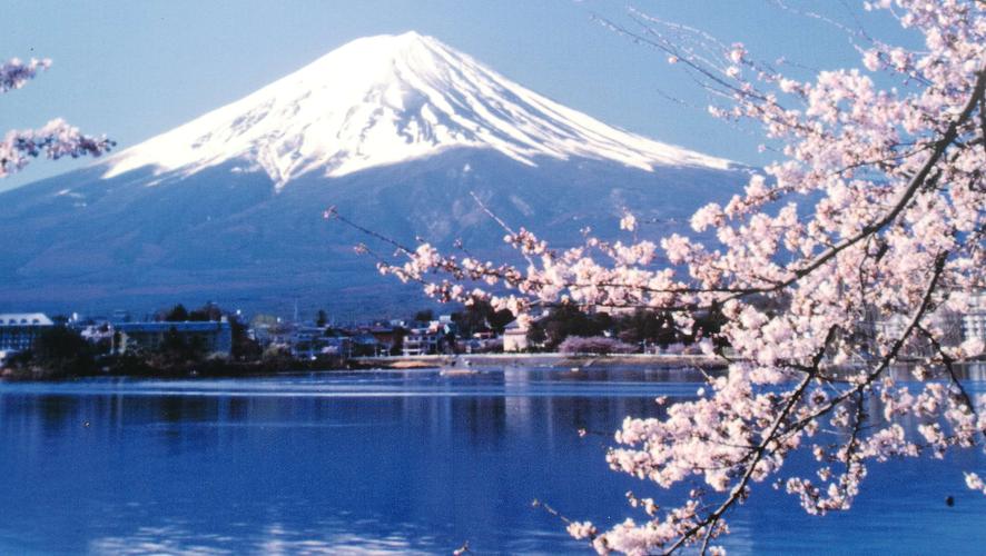 日本富士山樱花壁纸已收藏